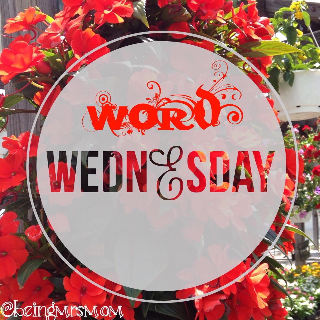 Word Wednesday